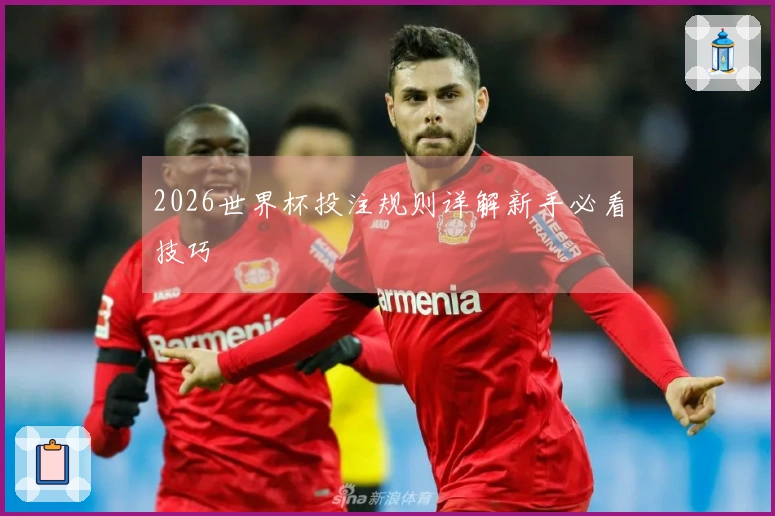 2026世界杯投注规则详解新手必看技巧