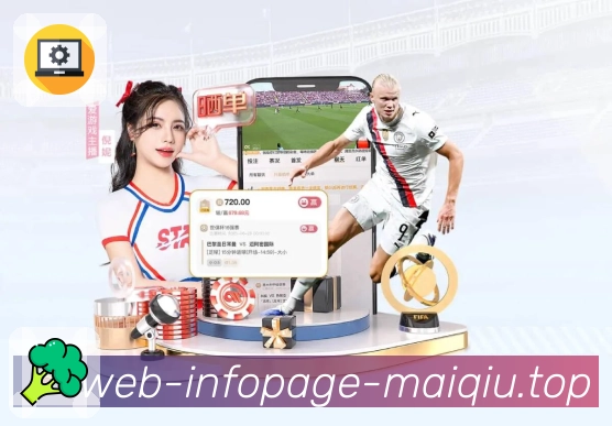 安全登录器 - 加密通道与防劫持
